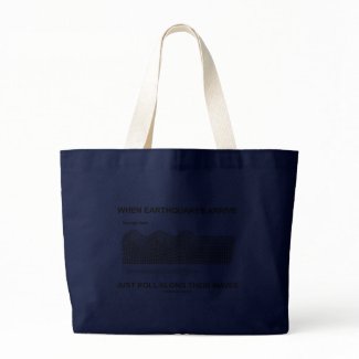 When Earthquakes Arrive Just Roll Along Waves bag