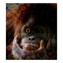 When I Ponder posters by daysrays When I Ponder posters