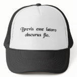 When I try to be brief, I babble incoherently. Hats