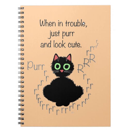 When in Trouble Note Books