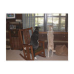 When is Master coming home? Veterinary  Reminder postcards