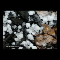 When It Rains It Hails posters