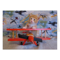 When Kitties Fly cards