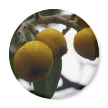 When Life Gives You Lemons... Refrigerator Magnets