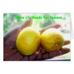 When Life Hands You Lemons... Greeting Card