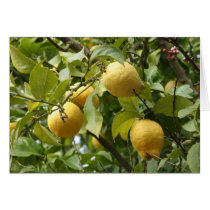 When Life Hands You Lemons . . . cards by Florabunda When Life Hands You Lemons . . . cards