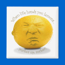 "When Life Hands You Lemons" Magnet