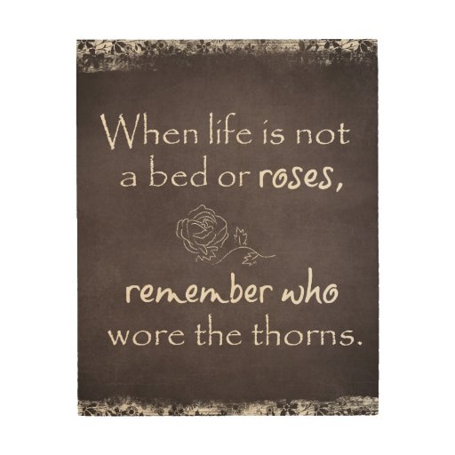 life is not bed of roses “life is not a bed of roses” saying is in other words as: “life is like a battlefield” are deeply referred for youths to grow up their capabilities like hardship and sincerity to fulfill their ambitions by ignoring either demolishing bad social impacts and behavior like thrills behind in support of a great qoute. life is not bed of roses “life is not a bed of roses” saying is in other words as: “life is like a battlefield” are deeply referred for youths to grow up their capabilities like hardship and sincerity to fulfill their ambitions by ignoring either demolishing bad social impacts and behavior like thrills behind in support of a great qoute.