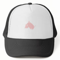 When pigs fly hats