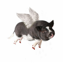 When Pigs Fly photo sculptures
