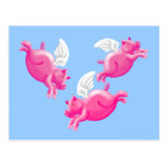 when pigs fly postcard
