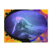WHEN POLAR BEARS DREAM postcards by cabinfeverdavid WHEN POLAR BEARS DREAM postcards