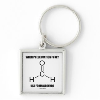 When Preservation Is Key Use Formaldehyde keychain