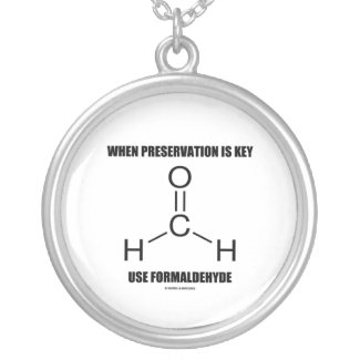 When Preservation Is Key Use Formaldehyde Personalized Necklace
