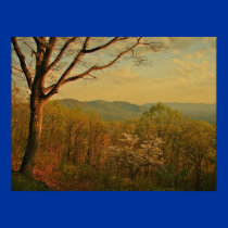 when the Blue Ridge is warm posters by zack12349 when the Blue Ridge is warm posters