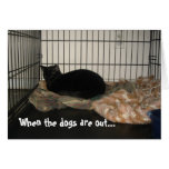 When the dogs are out... card
