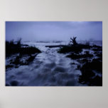 When The Lake Dies Canvas posters
