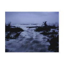 When The Lake Dies Post Card postcards by SuperiorGraphics When The Lake Dies Post Card postcards