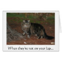 When they're not on your lap... cards by catpeople When they're not on your lap... cards