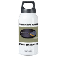 When Thinking Universe Realize It's Dark Out There 10 Oz Insulated SIGG Thermos Water Bottle