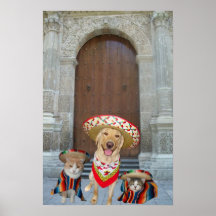When traveling don't stray from your group. poster