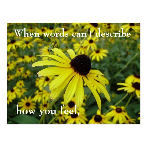 when-words-can-t-describe-how-you-feel-postcard-zazzle