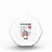 When You Do Not Breathe Expire Respiratory System Award