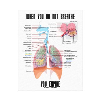When You Do Not Breathe Expire Respiratory System Canvas Print
