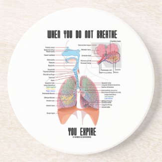 When You Do Not Breathe Expire Respiratory System Coaster