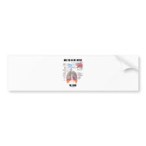 When You Do Not Breathe You Expire (Respiratory) Bumper Sticker