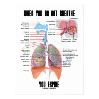 When You Do Not Breathe You Expire (Respiratory) Postcard