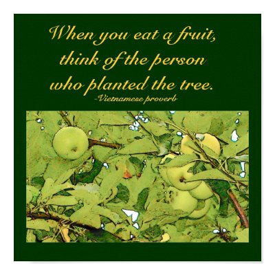 When you eat a fruit...Quote Poster by pammys
