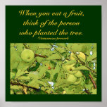 When you eat a fruit...Quote Poster