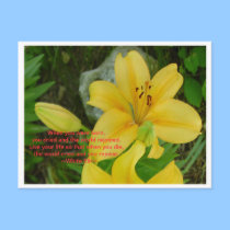 When You Were Born postcards