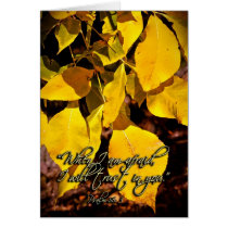 WhenImafraidZazzle cards