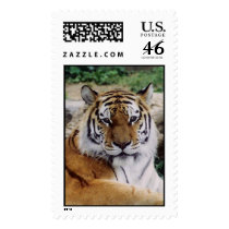 When's Lunch? postage