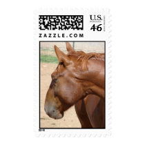 Where are you? postage by Killlashandra Where are you? postage