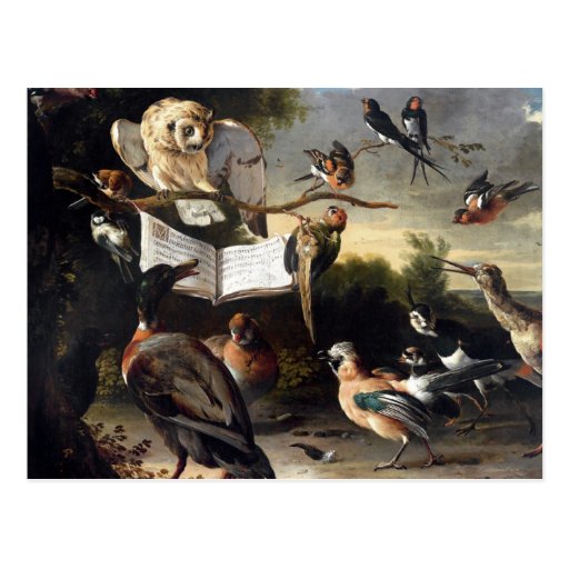 where bird songs come from postcard zazzle where bird songs come from postcard zazzle