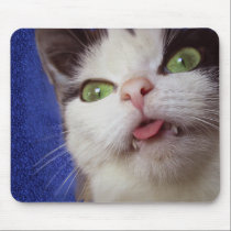 Where comes the mouse..? mousepads