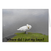 Where did I put my keys? cards