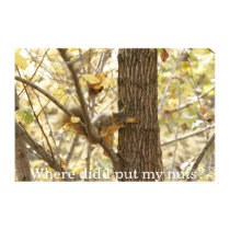 Where did I put my nuts? posters