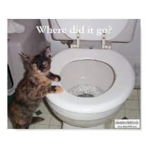 Where did it go? Poster