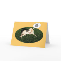 Where did my leg go? greeting cards
