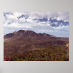 Where Eagles Fly Posters