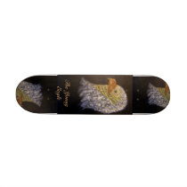 Where Eagles Soar Skate Board