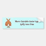 Where Easter Eggs Come From Bumper Stickers
