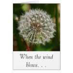 Where Ever the Wind Blows