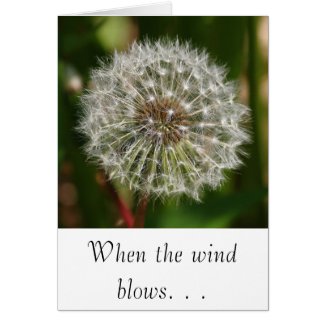 Where Ever the Wind Blows card