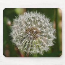 Where Ever the Wind Blows Mouse Pads