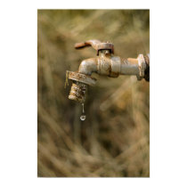 Where has all the water gone? posters